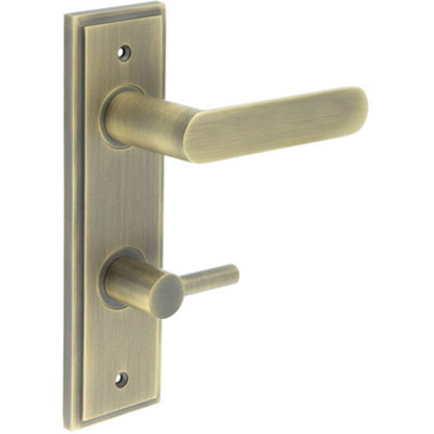 Antique Brass Door Handle with Backplate for Bathrooms - Solid Brass Interior Handle