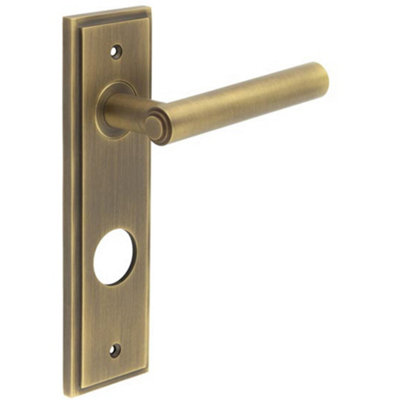 Antique Brass Door Handle with Backplate for Bathrooms - Solid Brass Interior Lever