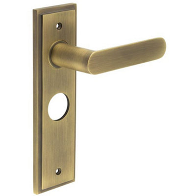 Antique Brass Door Handle with Elegant Backplate for Bathrooms - Solid Brass Interior Handle