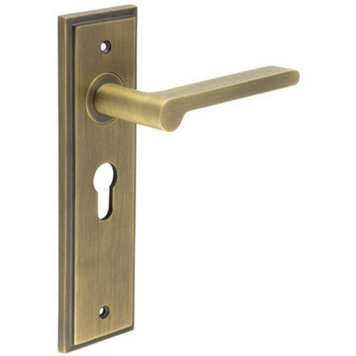 Antique Brass Door Handle with Euro Backplate - Elegant and Durable - Solid Brass Interior Handle