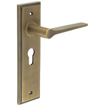 Antique Brass Euro Backplate Door Handle - Elegant & Durable - Solid Brass Interior Handle