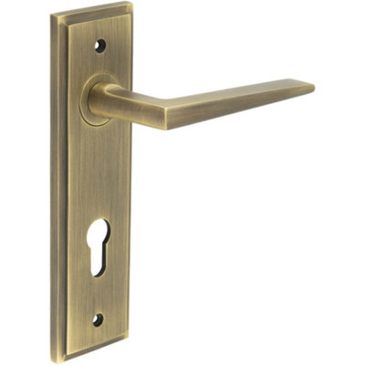 Antique Brass Euro Backplate Door Handle for Modern Homes - Interior Handle
