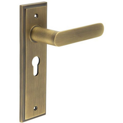 Antique Brass Euro Backplate Door Handle - Premium Quality - Solid Brass Interior Handle