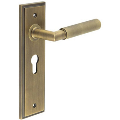 Antique Brass Euro Backplate Door Handle with Luxury Design - Solid Brass Interior Handle