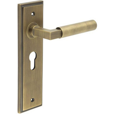 Antique Brass Euro Backplate Door Handle with Stylish Design - Solid Brass Interior Lever