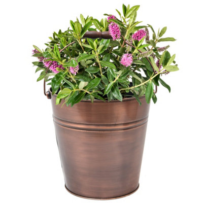 Antique Copper Indoor Outdoor Summer Garden Bucket Planter Pot