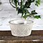 Antique Design Baroque Indoor Plant Bowl (Dia) 19 cm