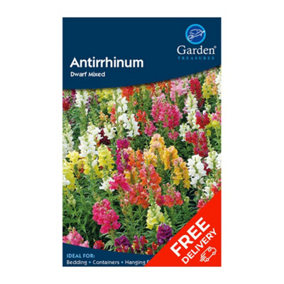 Antirrhinum Dwarf Mxd (majus) Grow Your Own Seeds