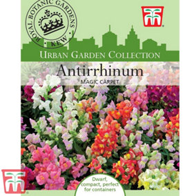 Antirrhinum Magic Carpet 1 Packet (1500 Seeds)