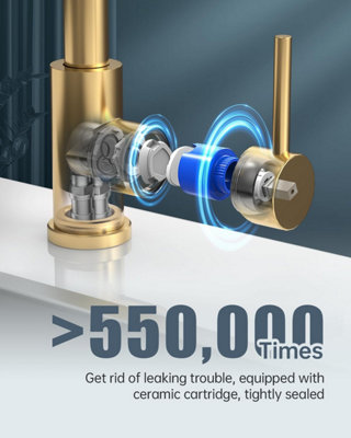 APPASO Gold Pull-Out Kitchen Mixer Tap with 3 Spray Modes