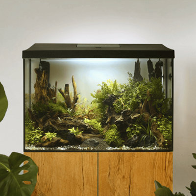 AquaEl Leddy Aquarium 60 XL Tall 72 Litre Fish Tank