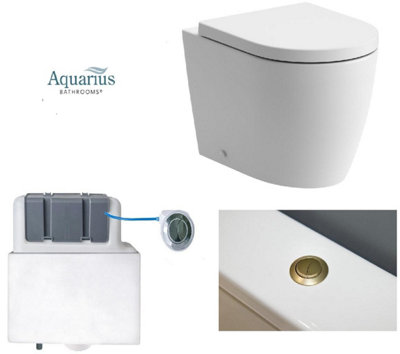 Aquarius Emma Back to Wall Toilet Bundle - Brushed Brass Flush Button