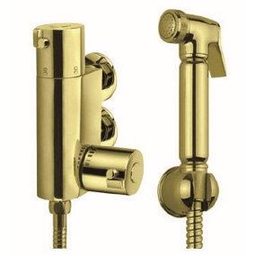 Aquarius FT Shattaf Douche Kit with Thermostatic Mini Valve Brushed Brass