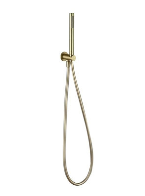 Aquarius RainLux Integrated Outlet Round Handheld Shower Kit Brushed Brass