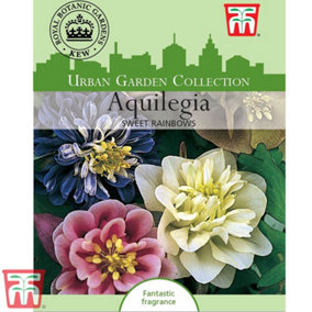 Aquilegia Sweet Rainbows 1 Seed Packet (15 Seeds)