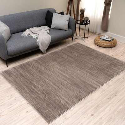 Area Rug Abstract Design in Beige Non-shedding Short Pile Living Room Rugs 3800B