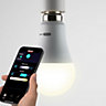 Arlec Grid Connect WiFi SMART Bulb - Colour Temperature Changing 9.5W LED E27 Edison Globe
