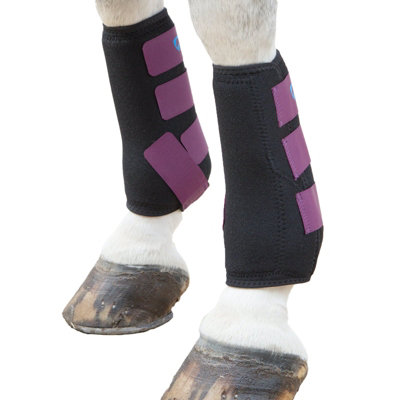 ARMA Sports Horse Boots Plum (X Full) Price Comparisons | Compare The Build