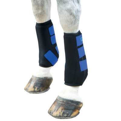 Royal blue 2025 horse boots