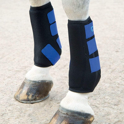 Royal blue 2025 horse boots