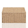 Arpan Natural Paper Rope Storage Basket Box With Lid (Large)