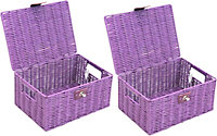ARPAN Pack of 2 Resin Woven Storage Hamper Basket Box with Lid & Lock (Purple -Small)