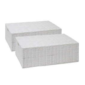 Arpan Resin Woven Storage Box, Chest Shelf Toy Cloth Basket with Lid Set of 2(L)