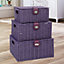 Arpan Set of 3 Resin Woven Storage Basket Box with Lid & Lock (Purple)