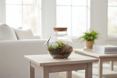 Arr3 Wa Terrarium Venus Led rechargeable Usb-c Pot size 20 Cm Transport ...