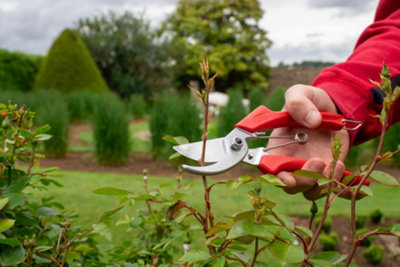 ARS 120DX Professional Secateurs 195mm Red - 3