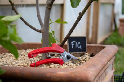 ARS 120DX Professional Secateurs 195mm Red - 4