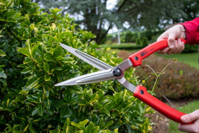 ARS K-800 General Garden Shears - 3
