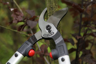 ARS LPB-30L Loppers 778mm Red/Grey