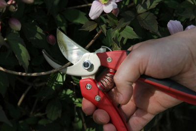 ARS Pruning Shears 205mm Red/Black