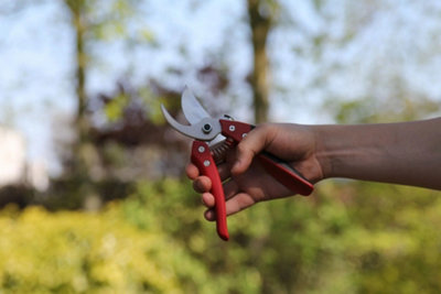 ARS Pruning Shears 205mm Red/Black - 3