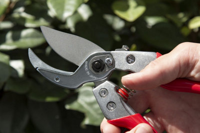 ARS VA-8Z Professional Anvil Secateurs Medium - 4