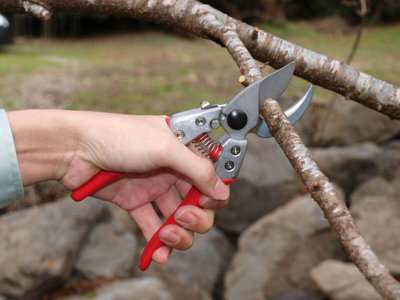 ARS VA-8Z Professional Anvil Secateurs Medium - 5