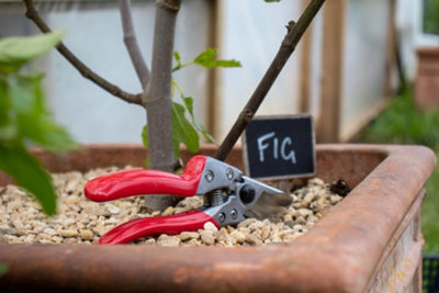 ARS VS-8XZ Professional Secateurs Medium - 4