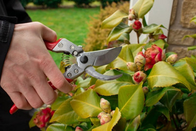 ARS VS-9XZ Professional Secateurs Large - 3