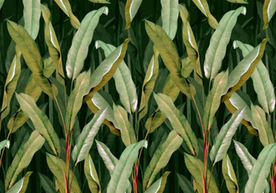 Art For the Home Banana Leaf Green Print To Order Fixed Size Mural