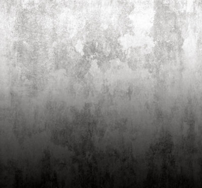 Art For the Home Ombre Mono Print To Order Fixed Size Mural