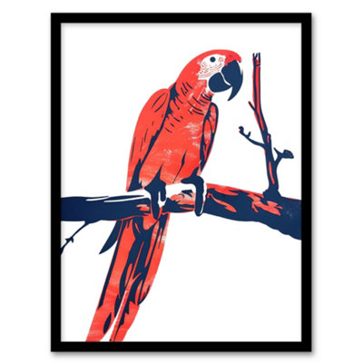 Wee Blue Coo Painting Bird Audubon Carolina Parrot Wall Art Print Pittura Uccello Pappagallo Parete