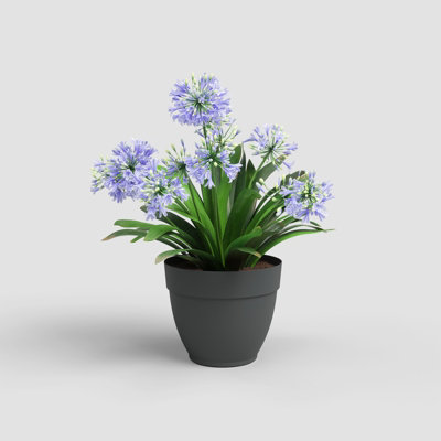Artevasi Capri Campana, Round plastic pot, 40cm, color: Anthracite