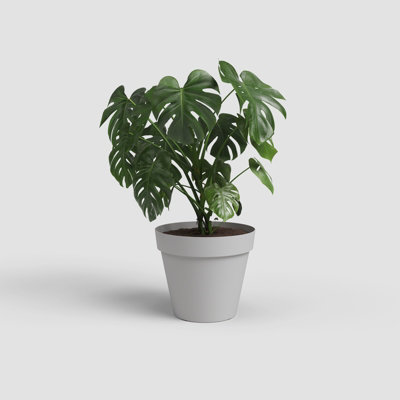 Artevasi Capri, Round plastic pot, 35cm, color: Light Grey