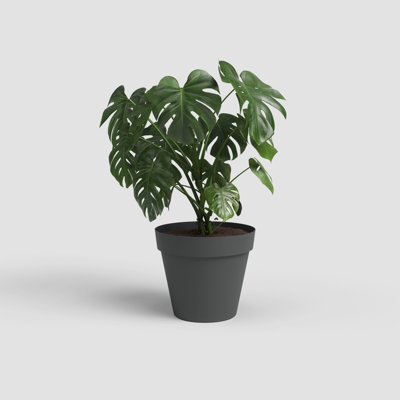 Artevasi Capri, Round plastic pot, 40cm, color: Anthracite