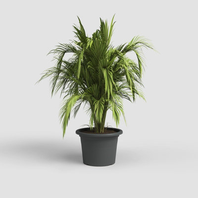 Artevasi Venezia Cilindro Flowerpot 45cm Anthracite