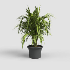 Artevasi Venezia Cilindro Flowerpot 45cm Anthracite