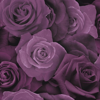 Arthouse Austin Rose Purple Wallpaper