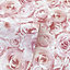 Arthouse Blush Pink Wild Rose Floral Bloom Roses Flowers Wallpaper