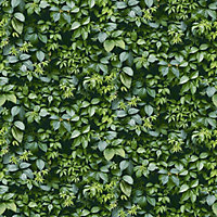 Arthouse Country Hedgerow Green Wallpaper Leaves Nature Paste The Wall Modern